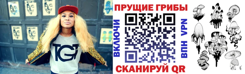 Псилоцибиновые грибы ЛСД  где найти наркотики  Мышкин 