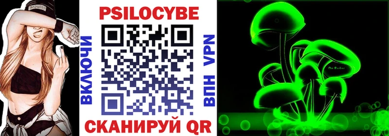 Псилоцибиновые грибы Psilocybe Мышкин